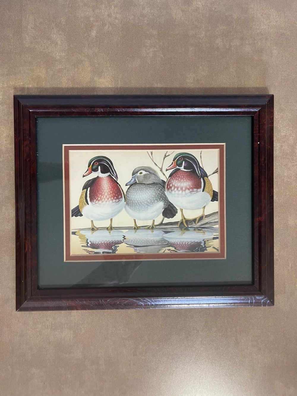 Framed Vintage Print of Wood Ducks, 9.5”x 11.5”